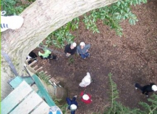 Venez decouvrir le monde des arbres